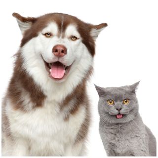 Risparmio di Tempo e Fatica