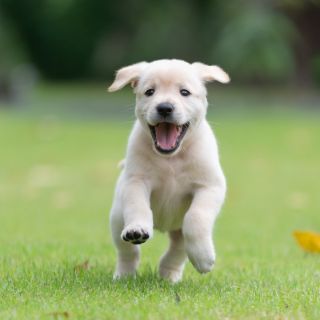 Risultati Visibili e Duraturi