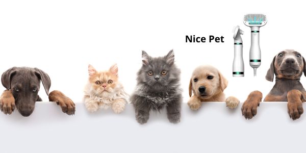 Nice Pet recensioni vere, testimonianze, opinioni e cosa dice chi l’ha provato
