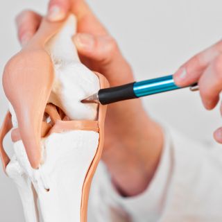 Rafforza la cartilagine e il tessuto osseo